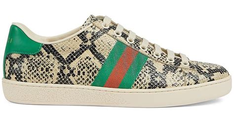 gucci ace python sneakers|farfetch Gucci ace.